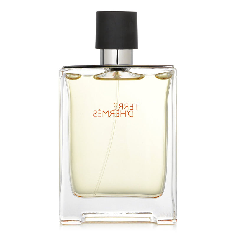 Terre D'Hermes Eau De Toilette Spray