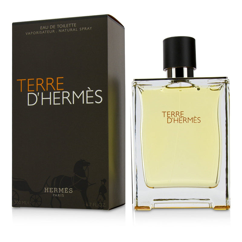 Terre D'Hermes Eau De Toilette Spray