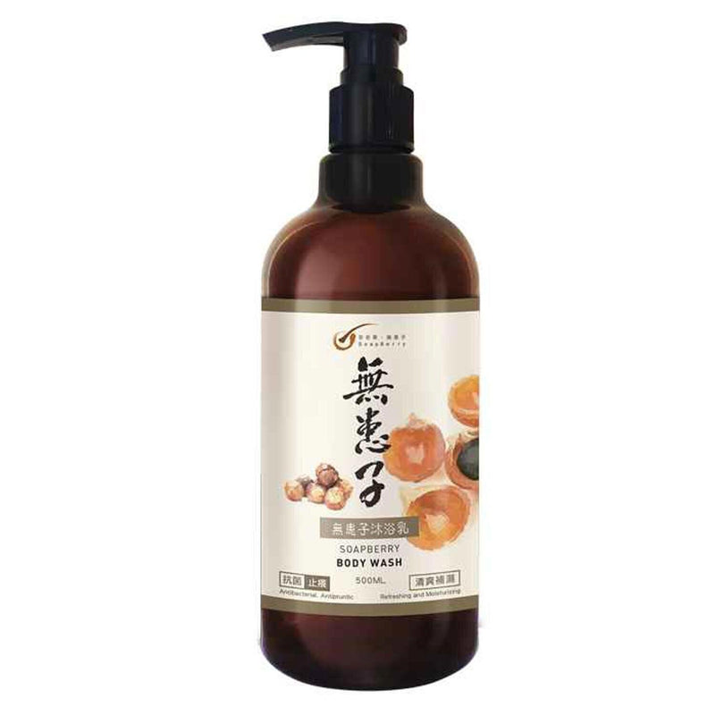 Soapberry Body Wash