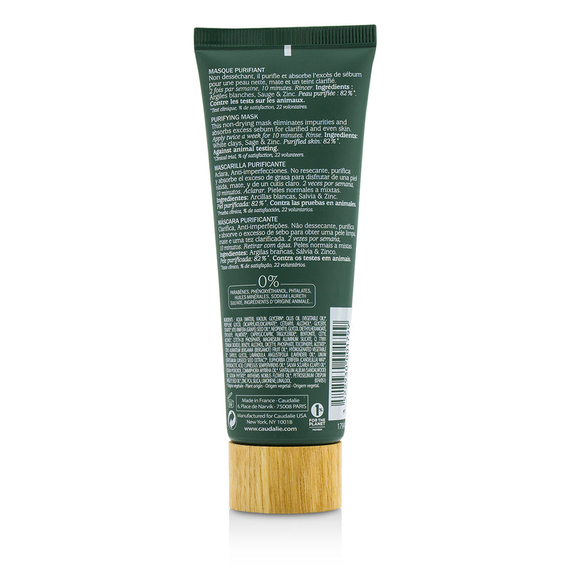 Purifying Mask (Normal to Combination Skin)
