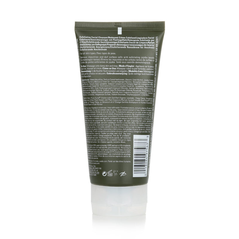 Botanical Kinetics Exfoliating Creme Cleanser